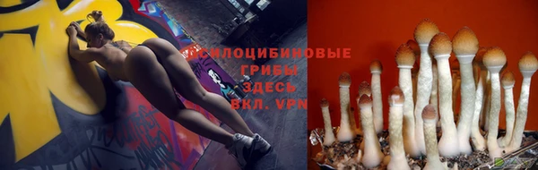 молекула духа Алзамай