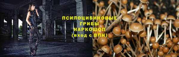 молекула духа Алзамай