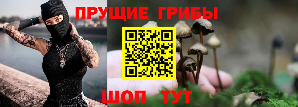 что такое   Вход с VPN  Тайшет  Галлюциногенные грибы ЛСД 